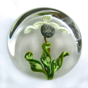 Farfalla Paperweight Smith Gordon Tropical Lady Slipper GS 201