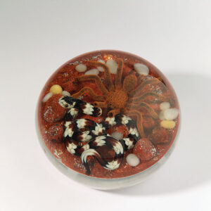 Farfalla Paperweight Smith Gordon quot Begegnung im Wuestensand quot GS 267