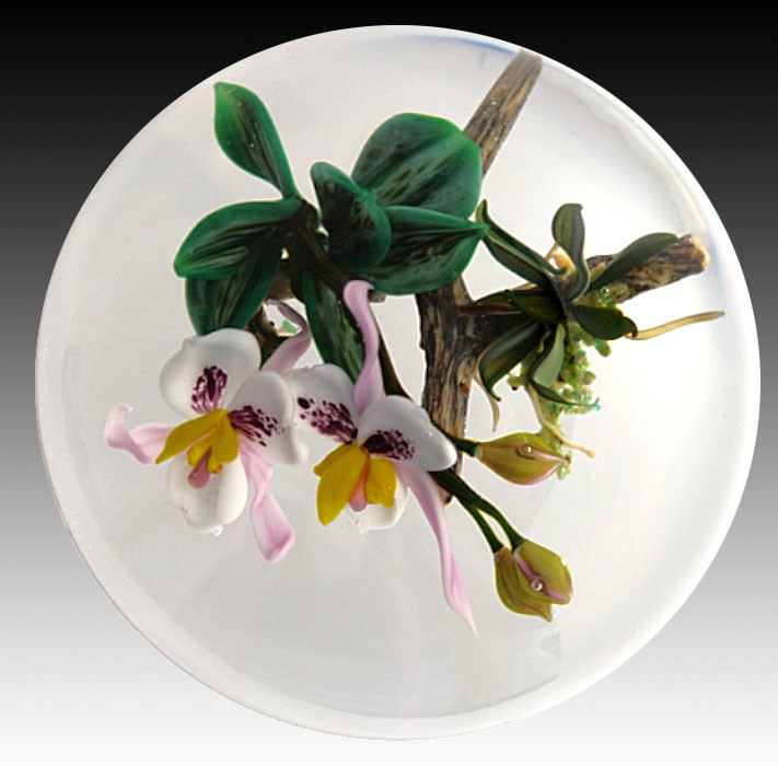 Farfalla Paperweight Stankard Paul Aufsitzer Orchidee ST 277