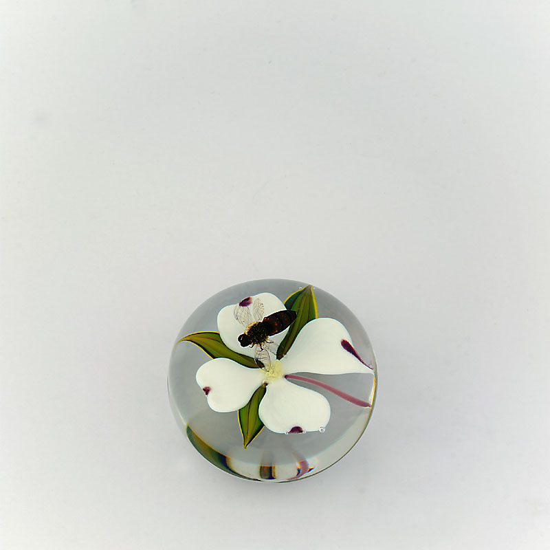 Farfalla Paperweight Stankard Paul Biene und Dogwood ST 237