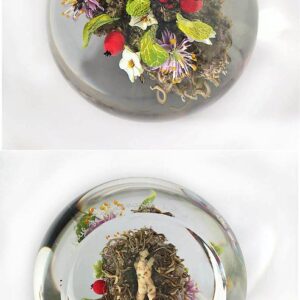 Farfalla Paperweight Stankard Paul Botanical Impression Libelle ST 253