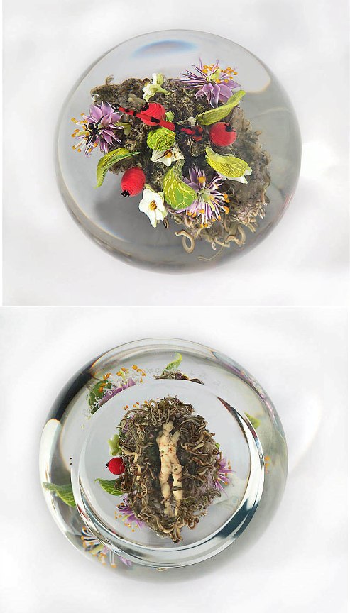 Farfalla Paperweight Stankard Paul Botanical Impression Libelle ST 253