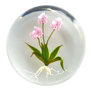Farfalla Paperweight Stankard Paul Botanical Interpretation ST 078 1