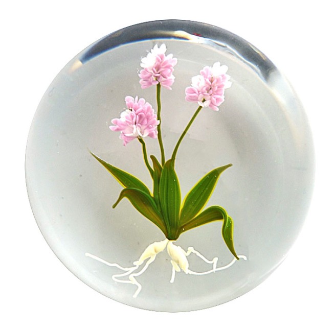 Farfalla Paperweight Stankard Paul Botanical Interpretation ST 078 1