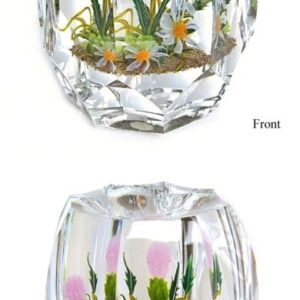 Farfalla Paperweight Stankard Paul Botanical Thistle and Daisy ST 224