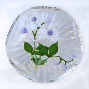 Farfalla Paperweight Stankard Paul Cymbidium Orchidee ST 267