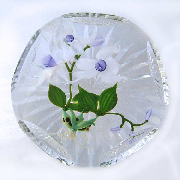 Farfalla Paperweight Stankard Paul Cymbidium Orchidee ST 267