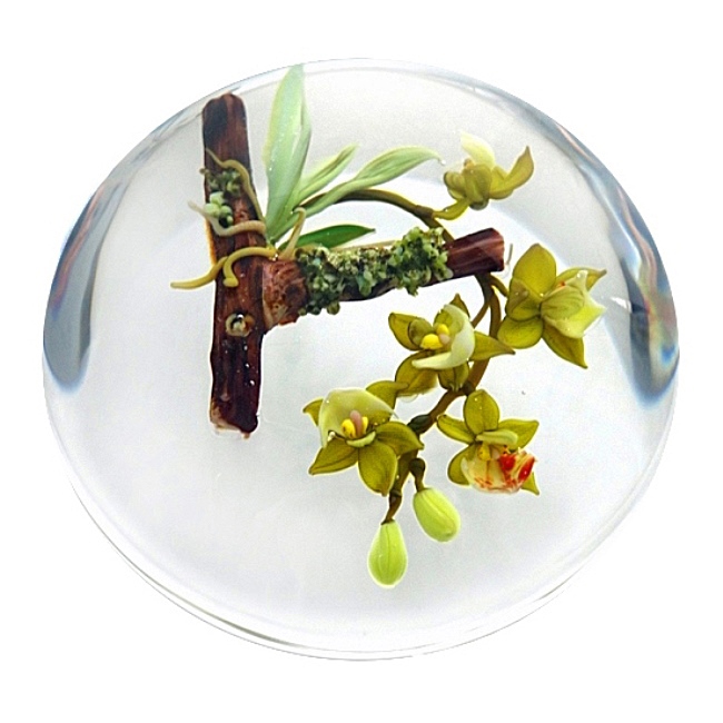 Farfalla Paperweight Stankard Paul Cymbidium Orchideen ST 099 2