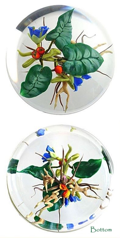 Farfalla Paperweight Stankard Paul Enviromental Enzian mit Root People ST 807