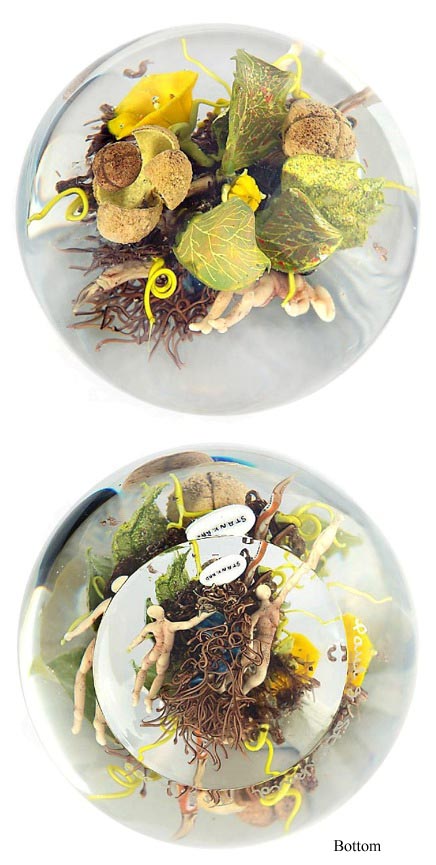 Farfalla Paperweight Stankard Paul Gourd Nut and Bell Flowers ST 257
