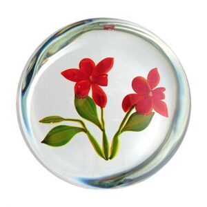 Farfalla Paperweight Stankard Paul Orchid Botanical Study ST 077