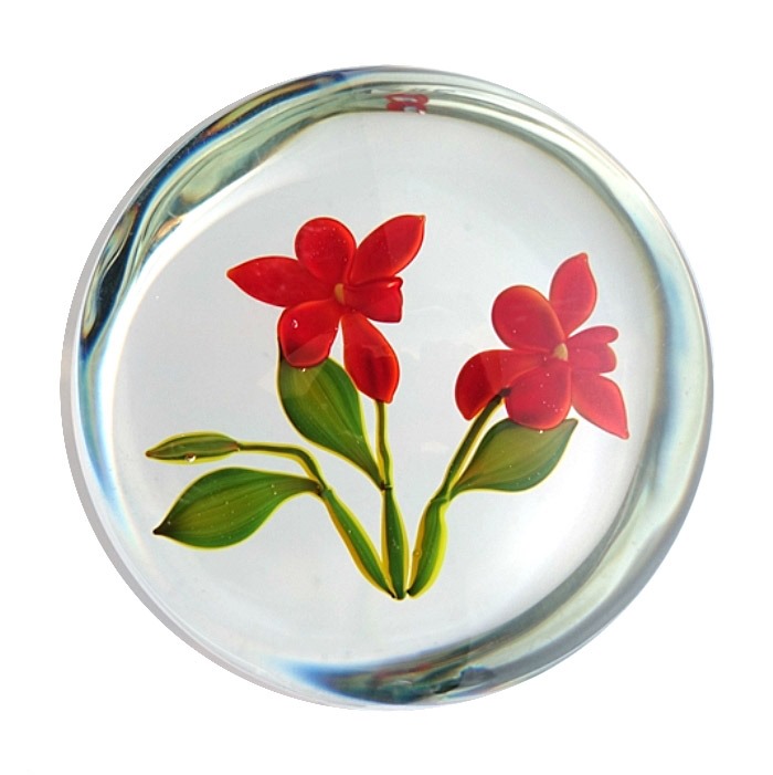 Farfalla Paperweight Stankard Paul Orchid Botanical Study ST 077