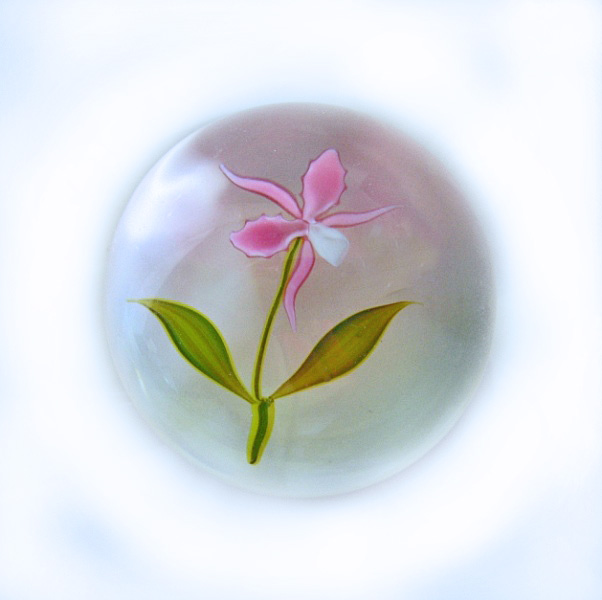 Farfalla Paperweight Stankard Paul Orchidee ST 272