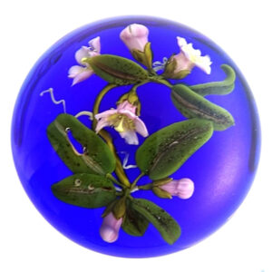 Farfalla Paperweight Stankard Paul Orchideen ST 249