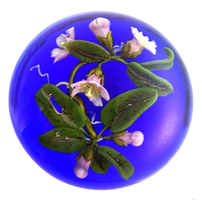 Farfalla Paperweight Stankard Paul Orchideen ST 249