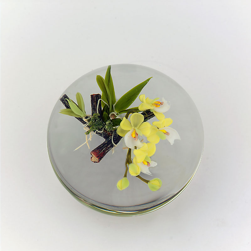 Farfalla Paperweight Stankard Paul Schmarotzer Orchidee ST 099
