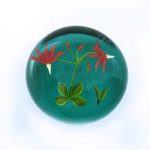 Farfalla Paperweight Stankard Paul Shooting Star Goetterblume Botanical Interpretation ST 273
