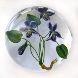 Farfalla Paperweight Stankard Paul Veilchen Violets ST 266