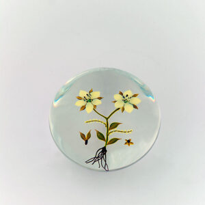 Farfalla Paperweight Stankard Paul Yellow Meadow Wreath ST 806