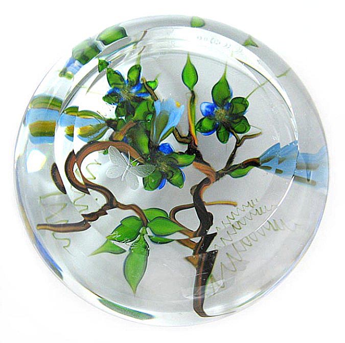 Farfalla Paperweight Tarsitano Debbie Erlacher Max Vergissmeinnicht mit Schmetterling DT 741