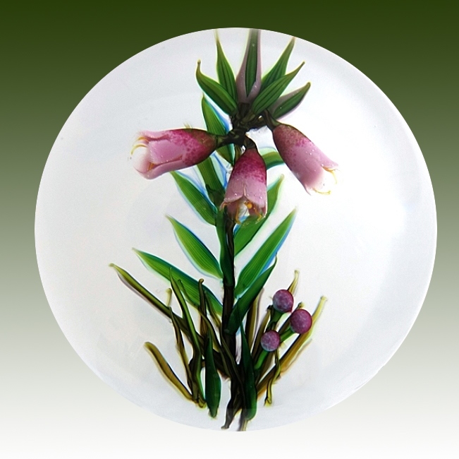 Farfalla Paperweight Tarsitano Debbie Kaiserkrone DT 760