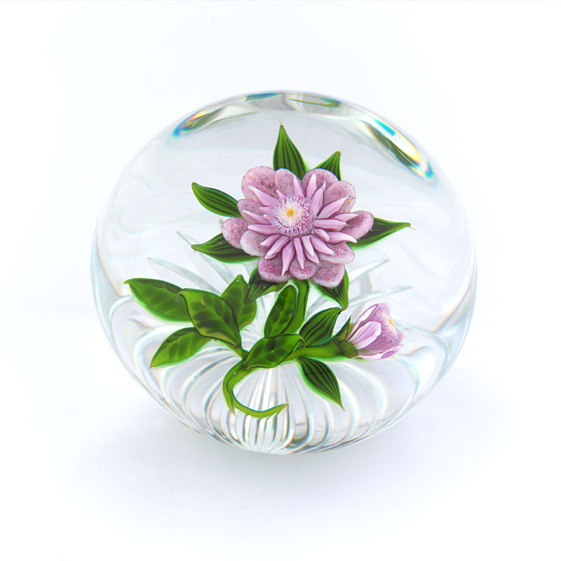 Farfalla Paperweight Tarsitano Debbie Rosa Dahlie Flamingo DT 692