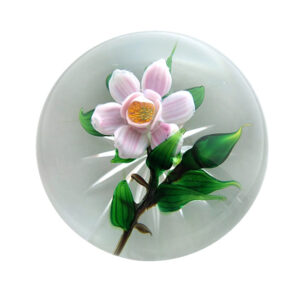 Farfalla Paperweight Tarsitano Debbie Rosa Rose Miniatur DT 645