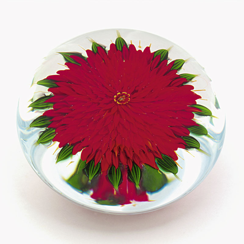 Farfalla Paperweight Tarsitano Debbie Rote Dahlie Remember Me DT 695