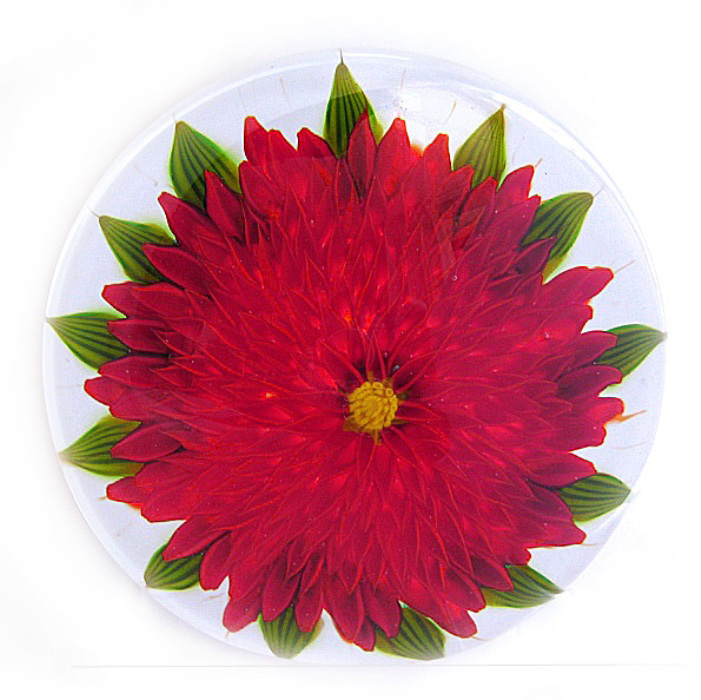 Farfalla Paperweight Tarsitano Debbie Rote Dahlie Scarlett DT 740