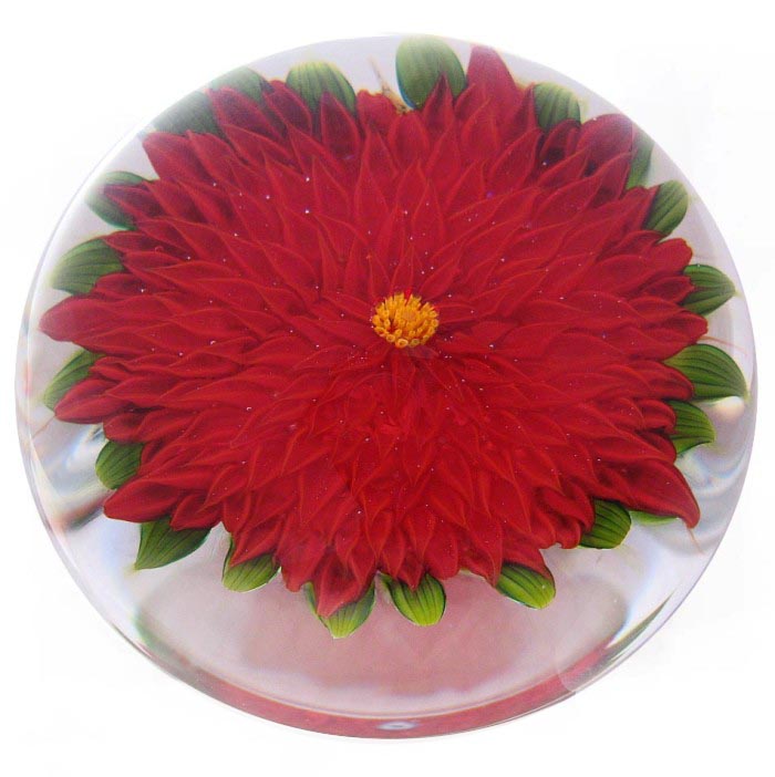 Farfalla Paperweight Tarsitano Debbie Rote Dahlie Scarlett DT 742