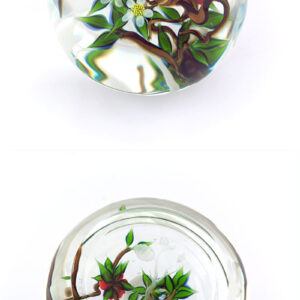 Farfalla Paperweight Tarsitano Debbie Sweet Summer DT 693