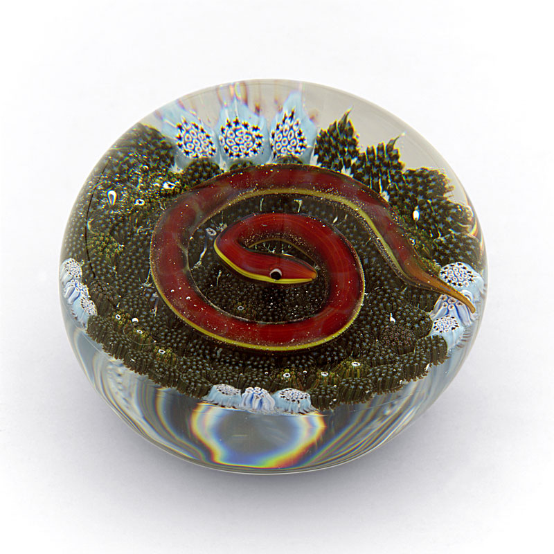 Farfalla Paperweight Tarsitano Delmo Earth Life Schlange auf Moosgrund DT 704