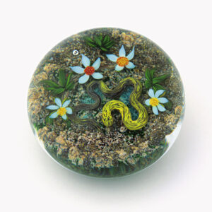 Farfalla Paperweight Tarsitano Delmo Earth Life Schlange DT 700