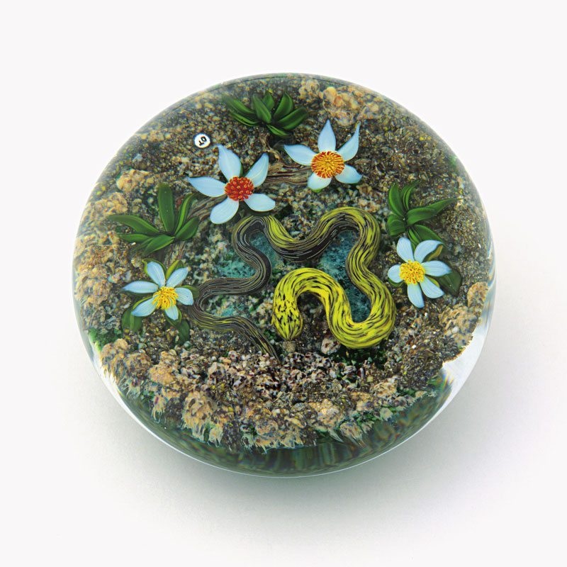 Farfalla Paperweight Tarsitano Delmo Earth Life Schlange DT 700