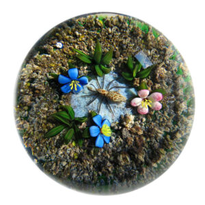 Farfalla Paperweight Tarsitano Delmo Earth Life Spinne DT 654