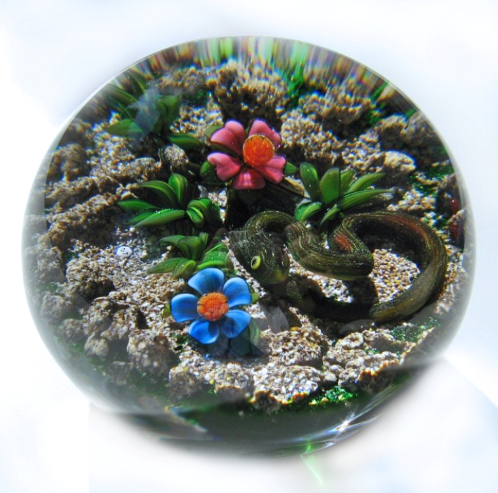 Farfalla Paperweight Tarsitano Delmo Earth Life braune Schlange DT 721