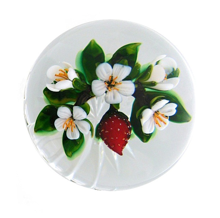 Farfalla Paperweight Tarsitano Delmo Erdbeere DT 651