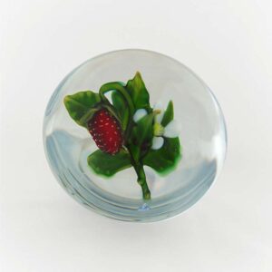 Farfalla Paperweight Tarsitano Delmo Erdbeere DT 715