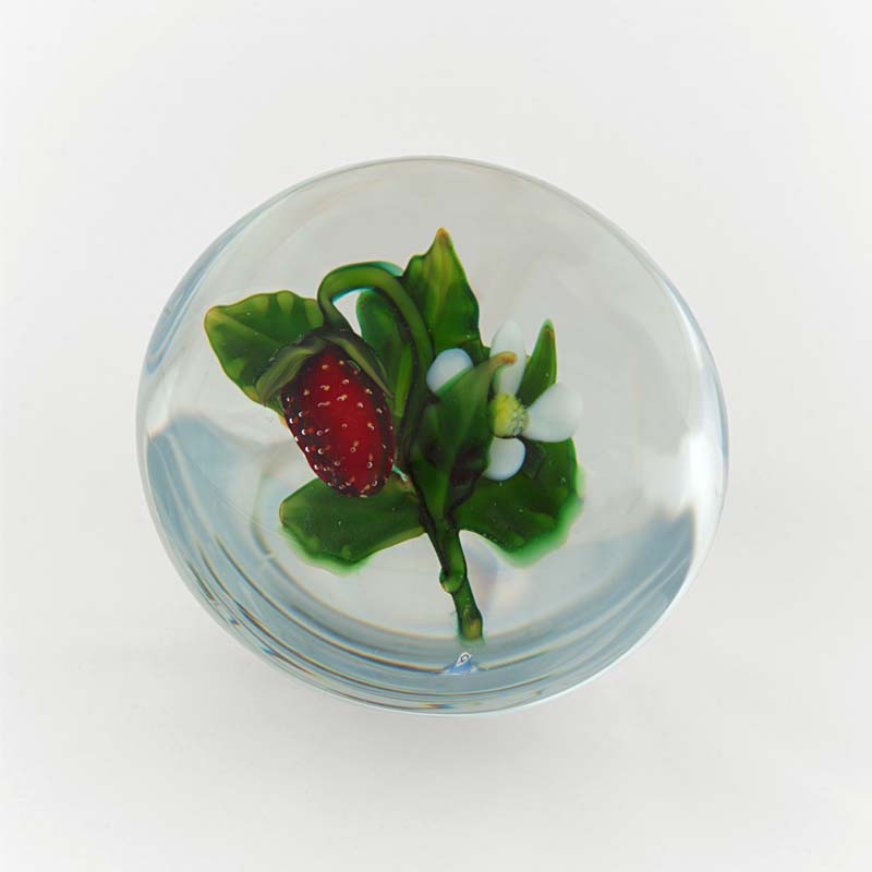 Farfalla Paperweight Tarsitano Delmo Erdbeere DT 715