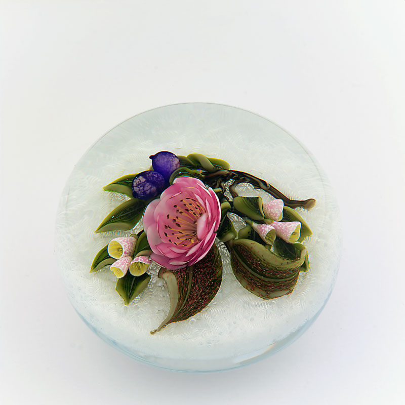 Farfalla Paperweight Trabucco Victor Blueten und Beeren VT 663