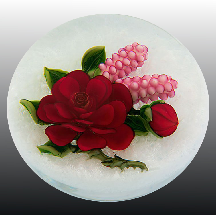 Farfalla Paperweight Trabucco Victor Prince Noir VT 665