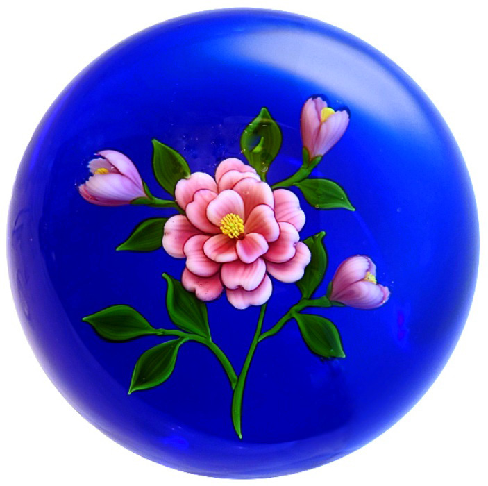 Farfalla Paperweight Trabucco Victor Rosa Kamelie Cherilyn VT 085