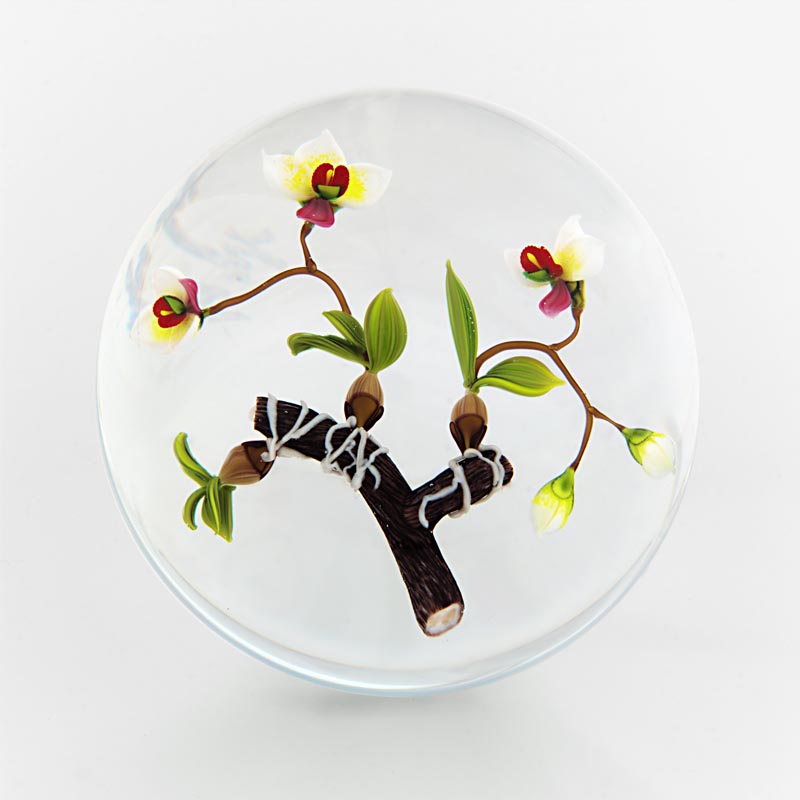 Farfalla Paperweight Ward Mayauel Aufsitzer Orchidee MW 3074