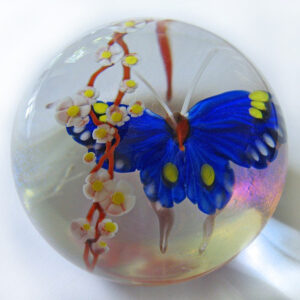 Farfalla Paperweight Ward Mayauel Blauer Schmetterling MW 3105