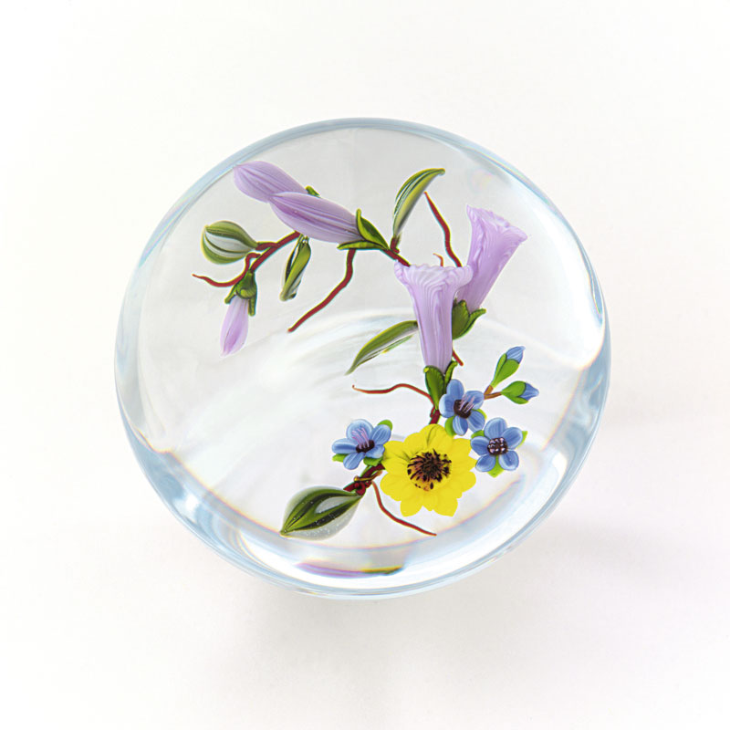 Farfalla Paperweight Ward Mayauel Bukett Daphne MW 3043