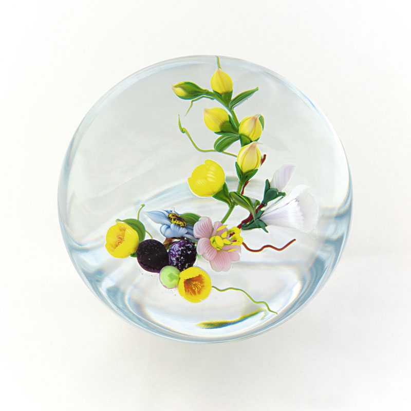 Farfalla Paperweight Ward Mayauel Bukett Morgane MW 3050