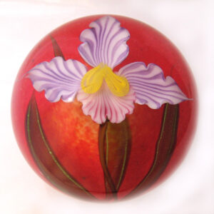Farfalla Paperweight Ward Mayauel Cattleya Orchidee MW 3078 2