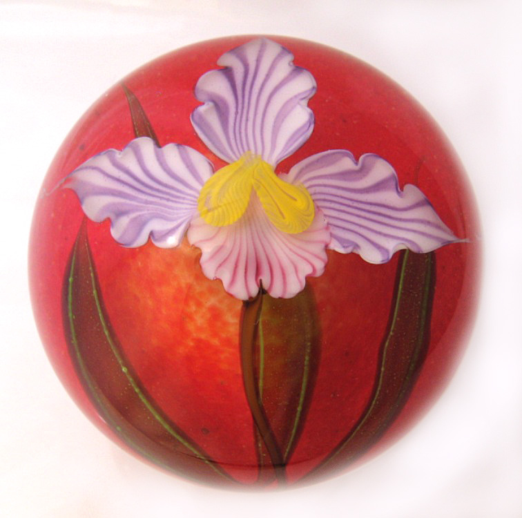 Farfalla Paperweight Ward Mayauel Cattleya Orchidee MW 3078 2