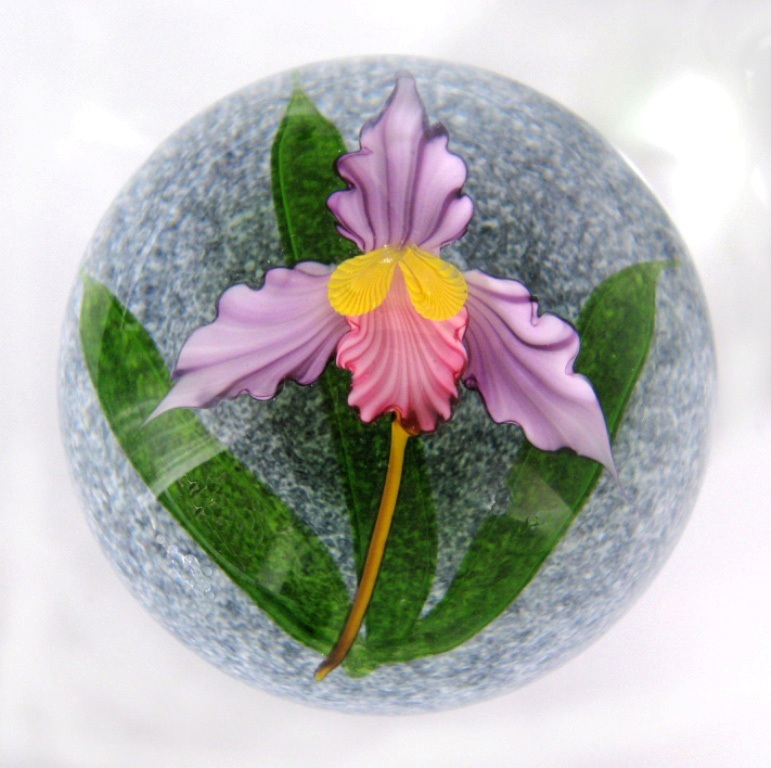 Farfalla Paperweight Ward Mayauel Cattleya Orchidee MW 3079