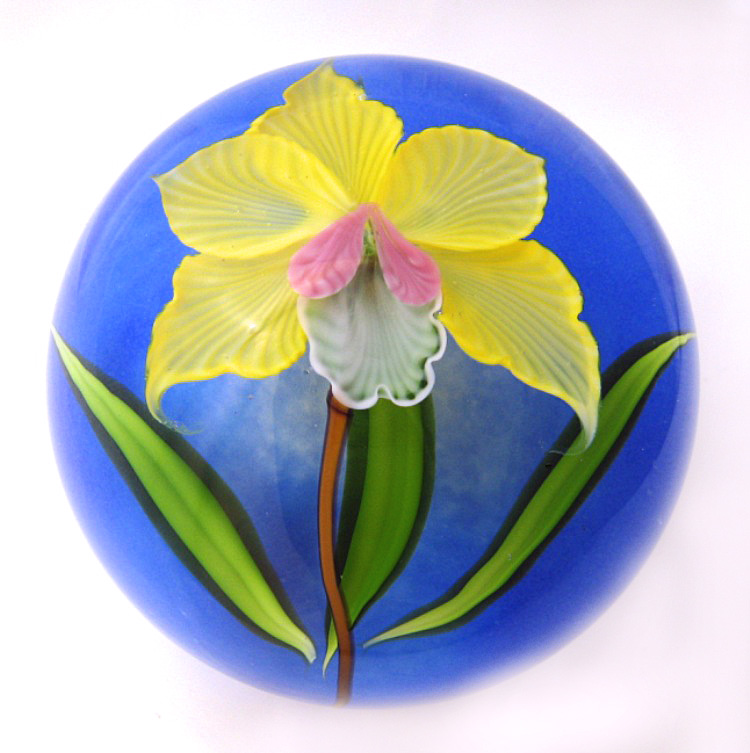 Farfalla Paperweight Ward Mayauel Cattleya Orchidee MW 3080